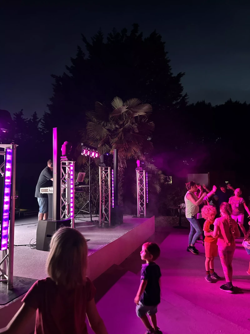 Animation anniversaire – DJ, blind test & karaoké